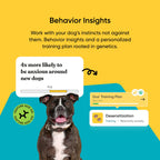 Dog DNA Test Kit