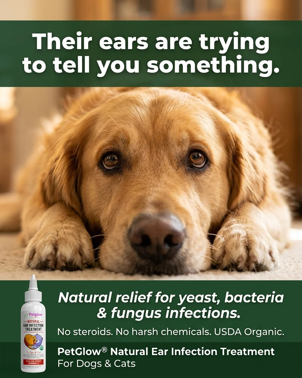 Dog Ear Drops for Yeast, Bacterial and Fungal Ear Care with Olive Extract and Chamomilla · Pet Ear Drops