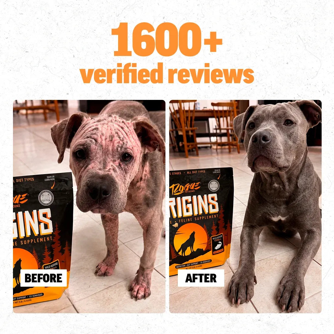 Dog Food Topper