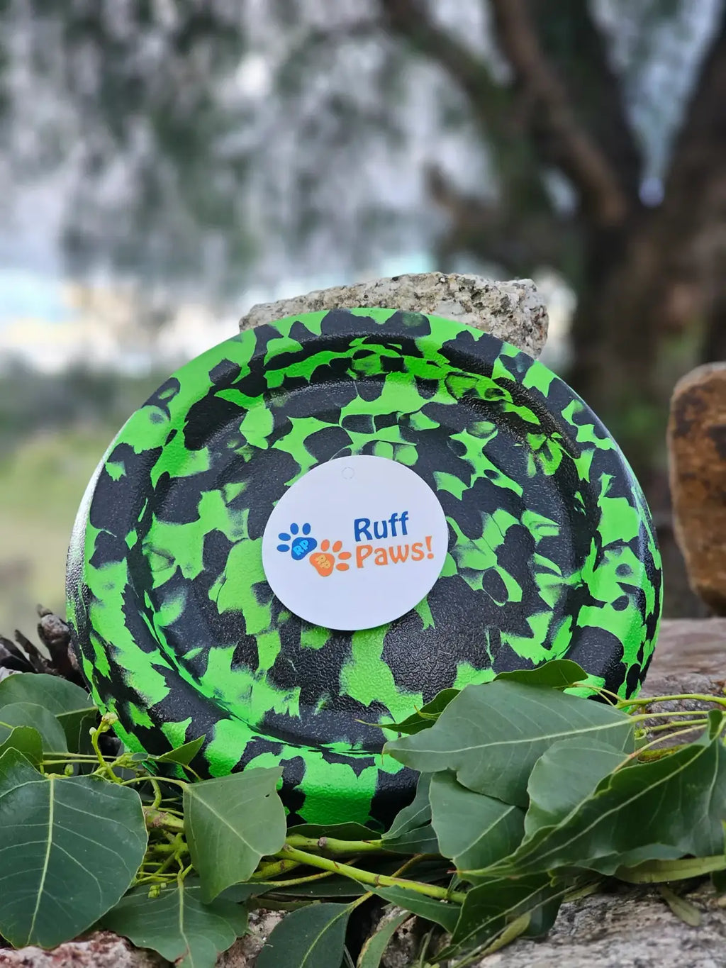 Dog Frisbee Foam Flying Disc for Outdoor Fetch, Soft Lightweight Water-Floating Design in Bright Color — Green/Black