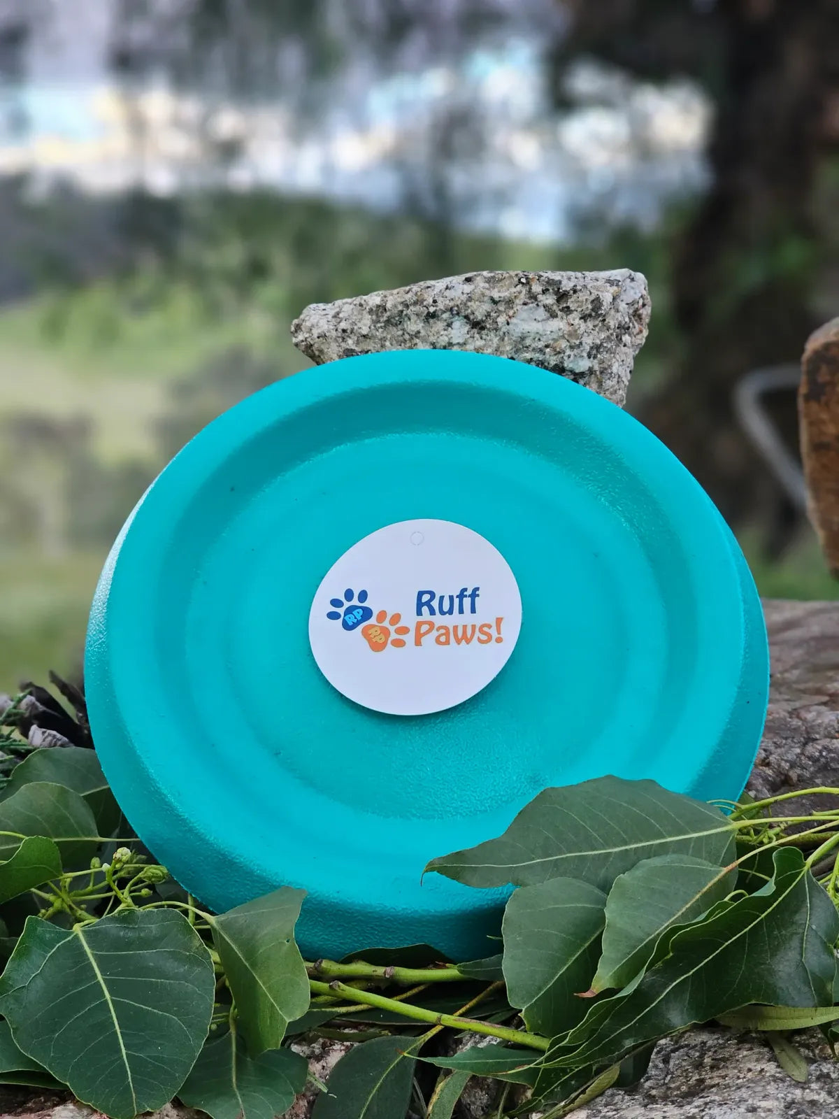 Dog Frisbee Foam Flying Disc for Outdoor Fetch, Soft Lightweight Water-Floating Design in Bright Color — Teal