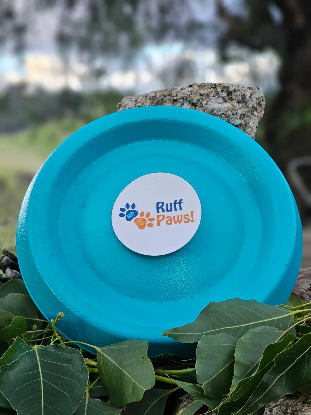Dog Frisbee Foam Flying Disc for Outdoor Fetch, Soft Lightweight Water-Floating Design in Bright Color — Aqua
