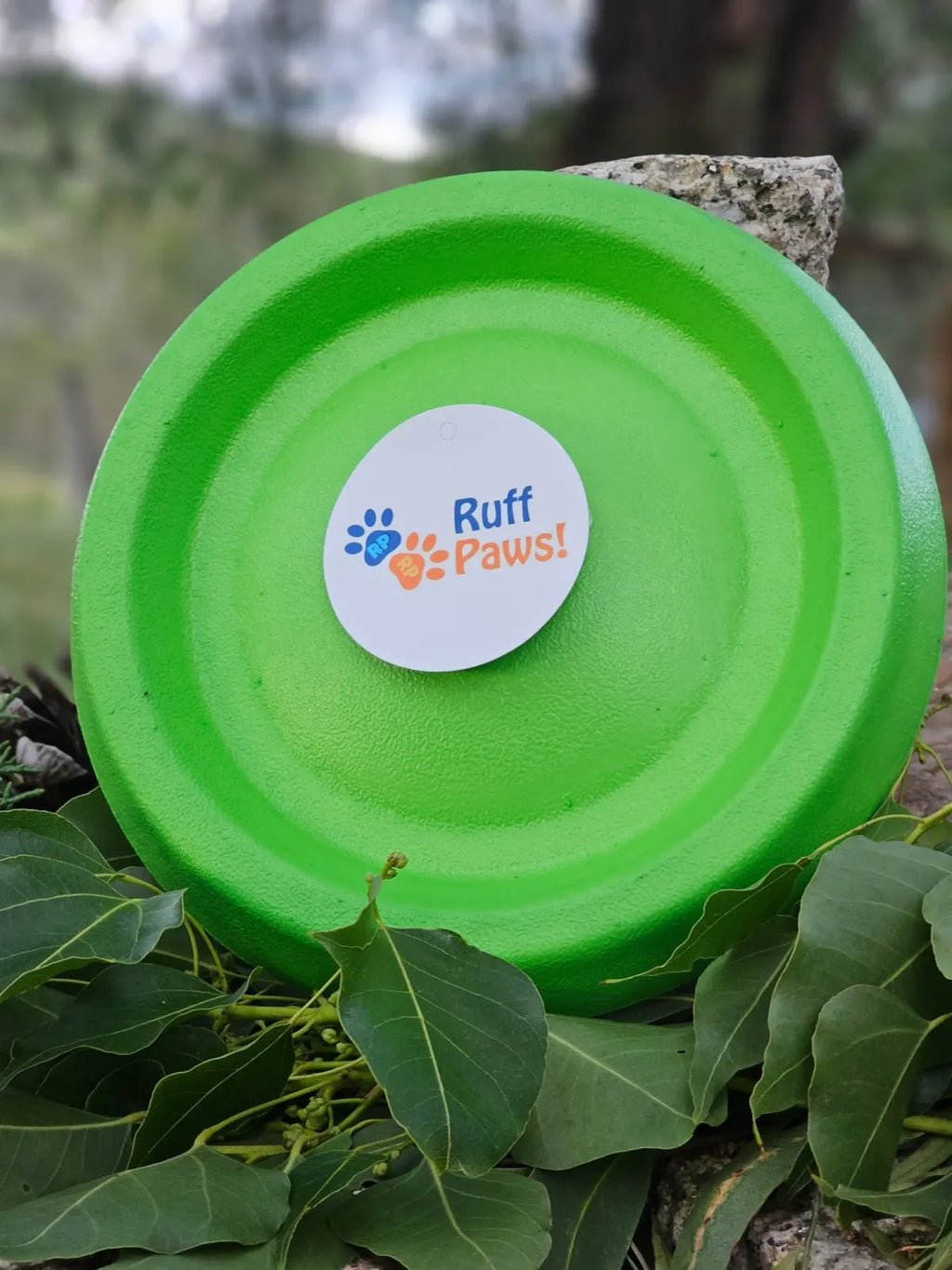 Dog Frisbee Foam Flying Disc for Outdoor Fetch, Soft Lightweight Water-Floating Design in Bright Color — Green