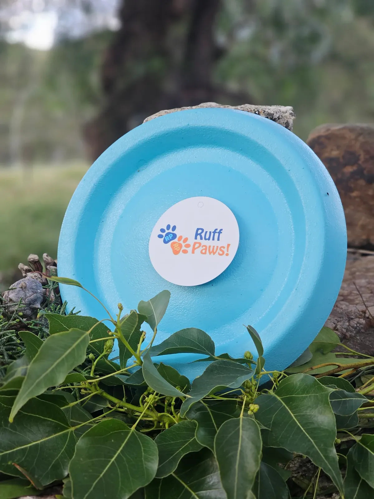 Dog Frisbee Foam Flying Disc for Outdoor Fetch, Soft Lightweight Water-Floating Design in Bright Color — Pastel Blue
