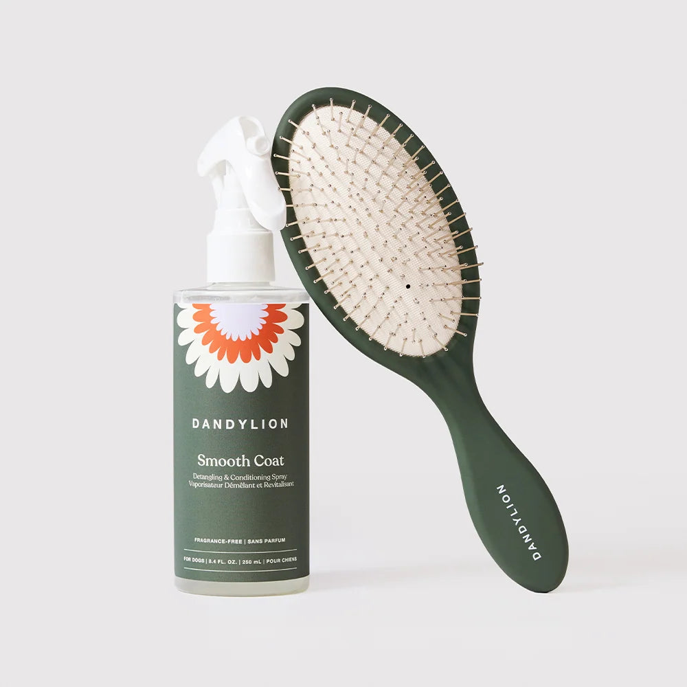 Dog Grooming Duo