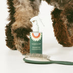 Dog Grooming Duo
