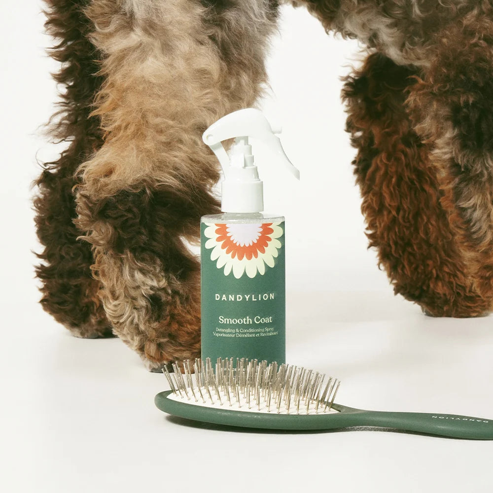 Dog Grooming Duo