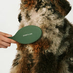Dog Grooming Duo