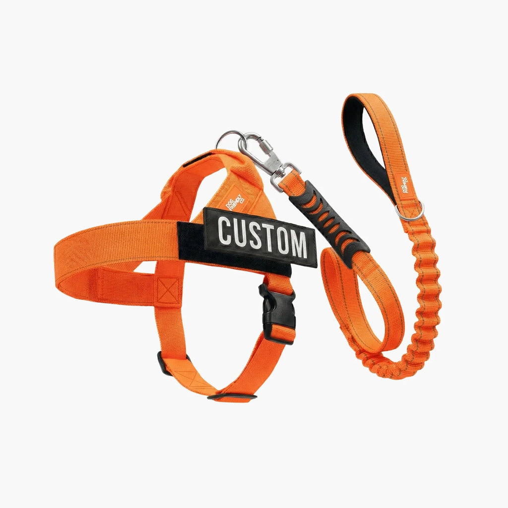 Dog Harness and Leash Set with Adjustable F — XXS / Bungee / XS / Bungee / S / Bungee / M / Bungee / L / Bungee / XL / Bungee