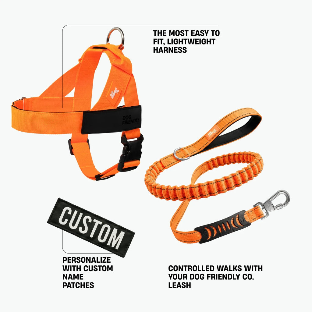 Dog Harness and Leash Set with Adjustable Fit, 120 cm Leash, Custom Name Patches and Multiple Styles