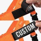 Dog Harness and Leash Set with Adjustable Fit, 120 cm Leash, Custom Name Patches and Multiple Styles