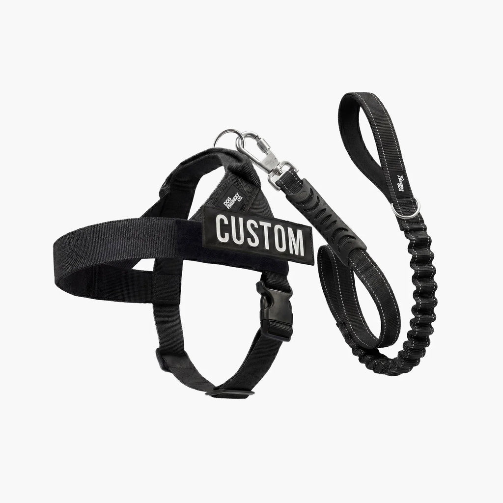 Dog Harness and Leash Set with Adjustable F — XXS / Bungee / XS / Bungee / S / Bungee / M / Bungee / L / Bungee / XL / Bungee