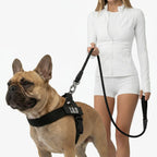 Dog Harness and Leash Set with Adjustable Fit, 120cm Leash, Custom Name Patches and Three Leash Styles