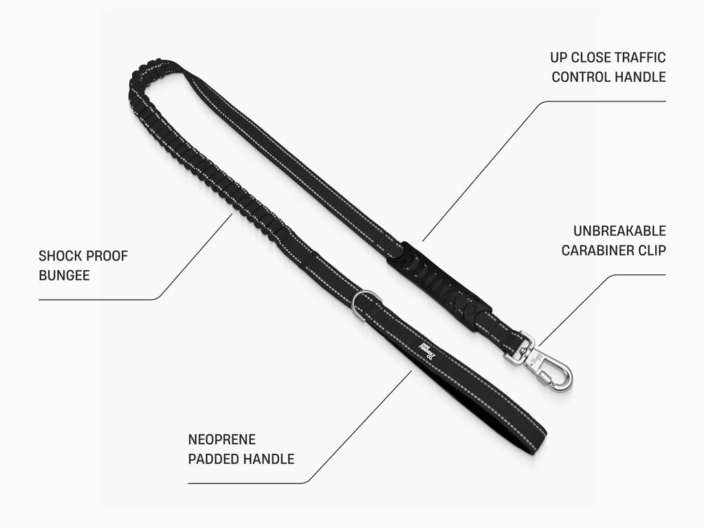 Dog Harness and Leash Set with Adjustable Fit, 120cm Leash, Custom Name Patches and Three Leash Styles