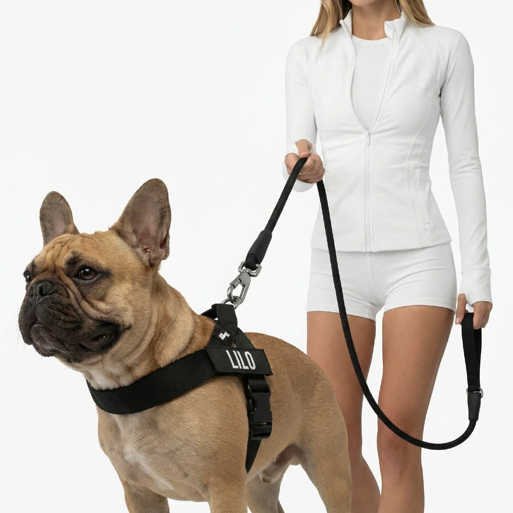 Dog Harness and Leash Set with Adjustable Fit, 120cm Leash, Custom Name Patches and Three Leash Styles