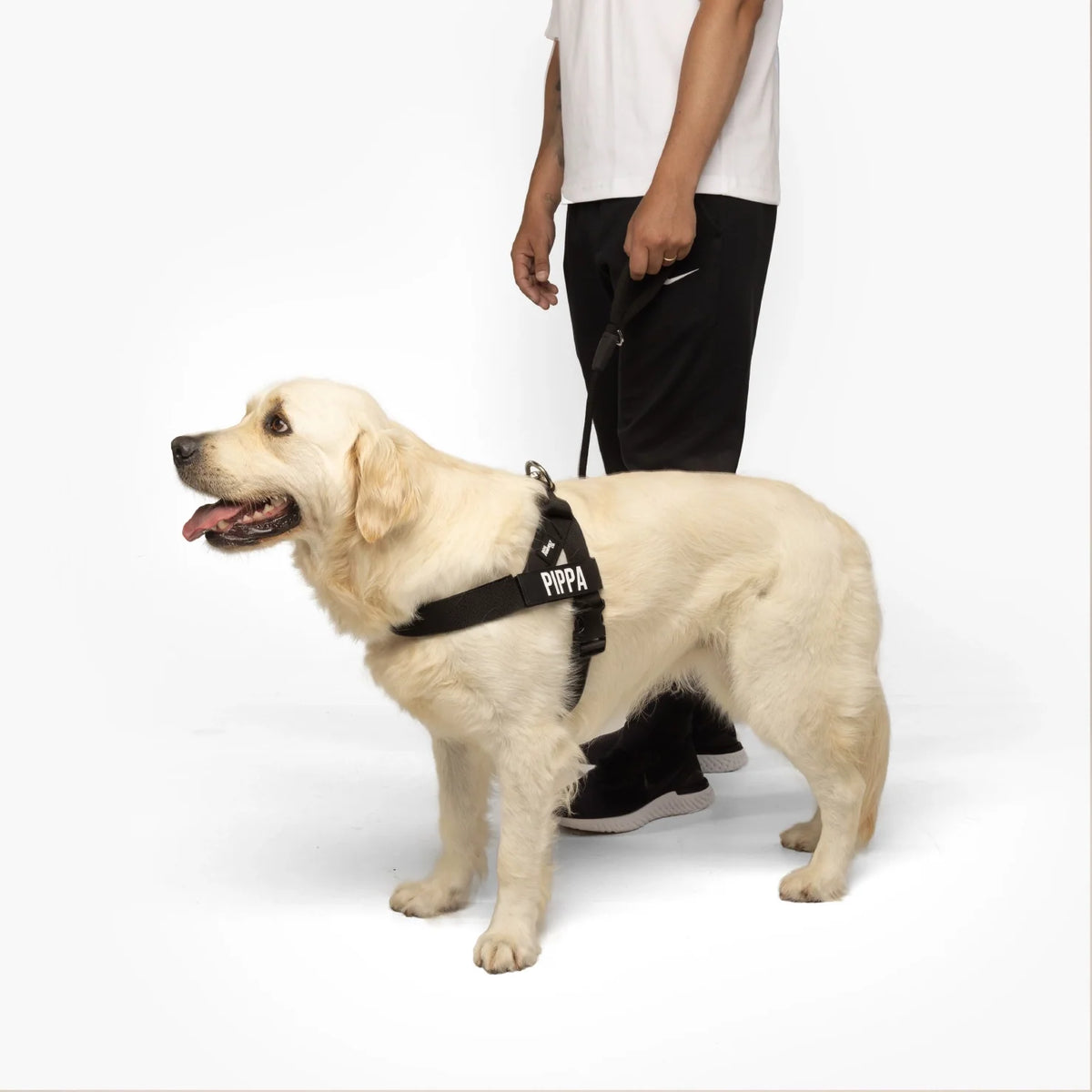 Dog Harness and Leash Set with Adjustable Fit, 120cm Leash, Custom Name Patches and Three Leash Styles