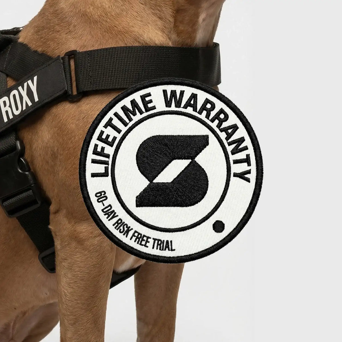 Dog Harness and Leash Set with Adjustable Fit, 120cm Leash, Custom Name Patches and Three Leash Styles