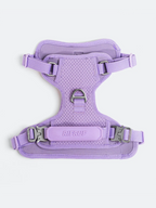 Dog Harness and Leash Set with Adjustable Harness and Convertible Hands-Free 73-Inch Leash for Daily Walks