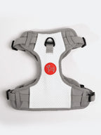 Dog Harness and Leash Set with Adjustable Harness and Convertible Hands-Free 73-Inch Leash for Daily Walks