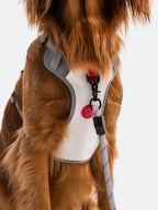 Dog Harness and Leash Set with Adjustable Harness and Convertible Hands-Free 73-Inch Leash for Daily Walks