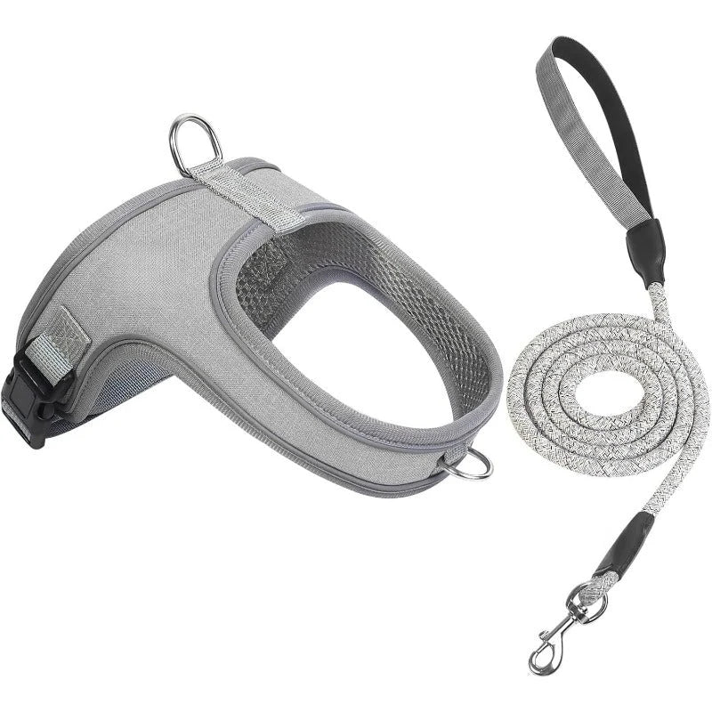 Dog Harness and Leash Set with Reflective Stitching and Breathable Mesh Lining for Everyday Walks