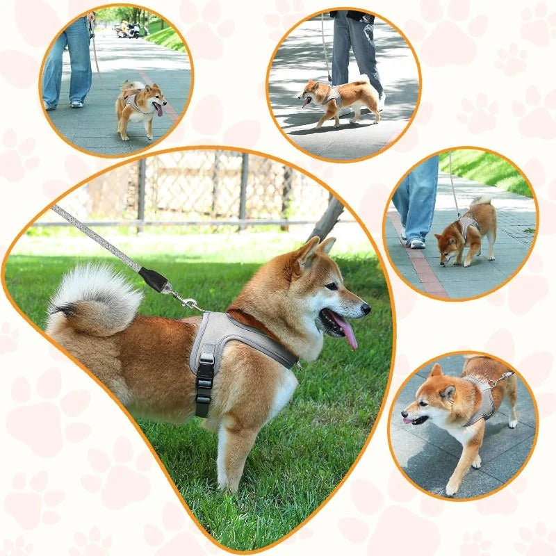 Dog Harness and Leash Set with Reflective Stitching and Breathable Mesh Lining for Everyday Walks