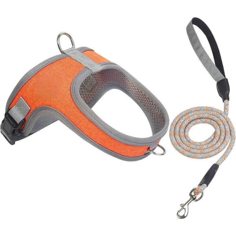 Dog Harness and Leash Set with Reflective Stitching and Breathable Mesh Lining for Everyday Walks