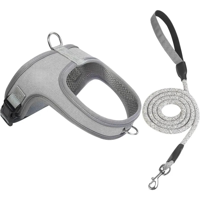 Dog Harness and Leash Set with Reflective Stitching and Breathable Mesh Lining for Everyday Walks