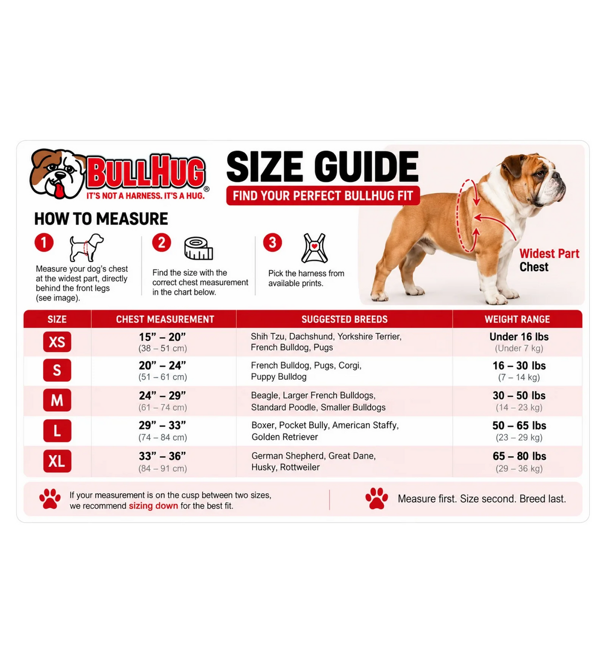 Dog Harness in Fire Truck Red