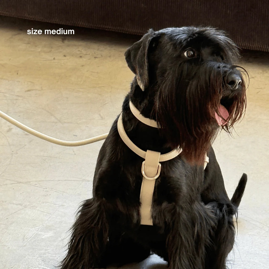 Dog Harness in Cream
