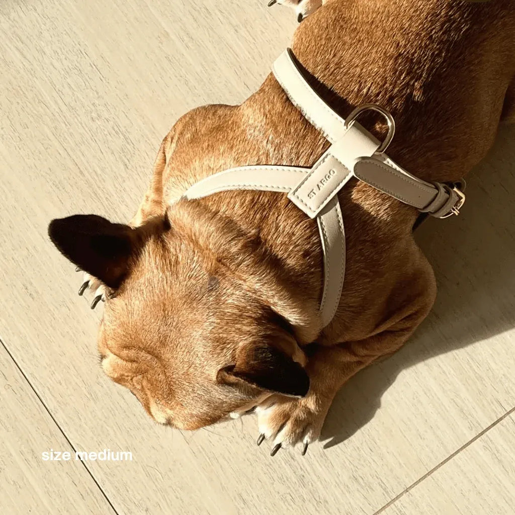 Dog Harness in Cream