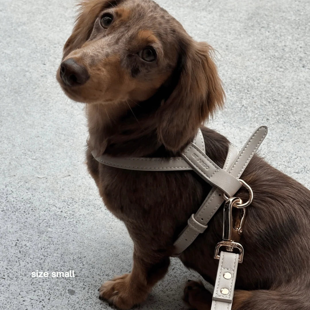 Dog Harness in Cream