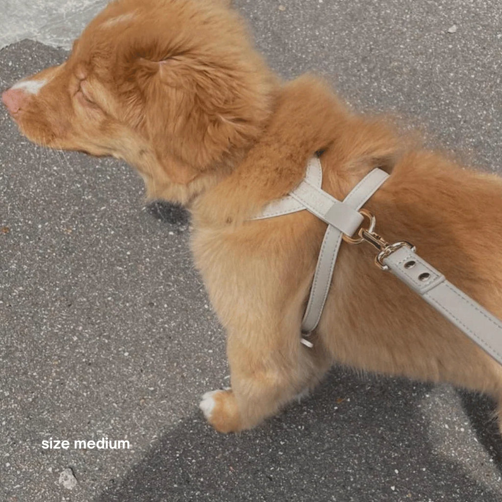 Dog Harness in Cream