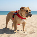 Dog Harness in Fire Truck Red