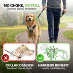 Dog Harness with No-Pull Control, Reflective Visibility, Adjustable Sizes and Multi-Point Leash Attachments for Active Wal
