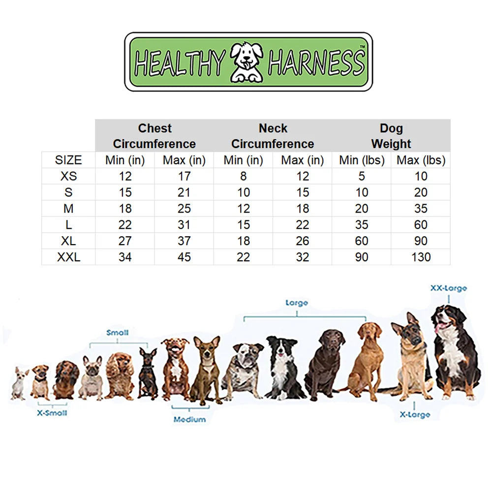 Dog Harness with No-Pull Control, Reflective Visibility, Adjustable Sizes and Multi-Point Leash Attachments for Active Wal