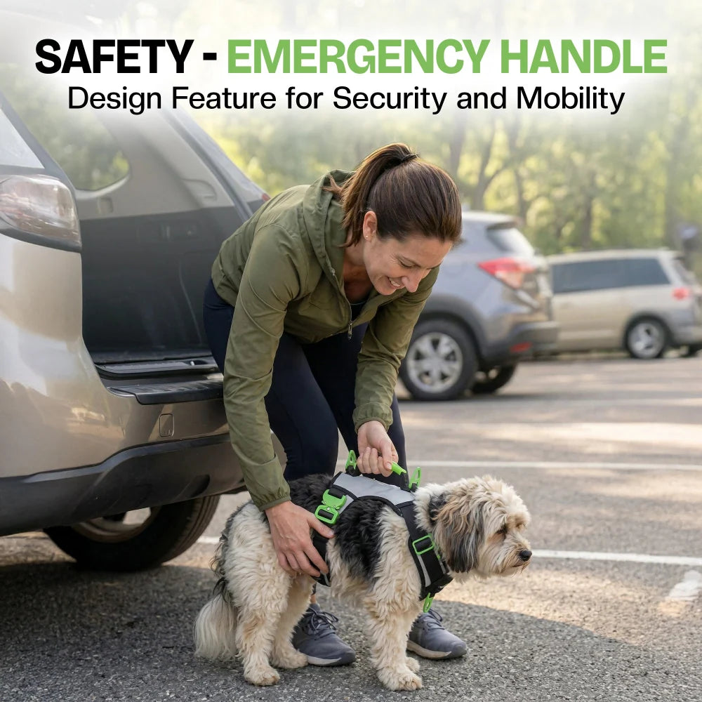 Dog Harness with No-Pull Control, Reflective Visibility, Adjustable Sizes and Multi-Point Leash Attachments for Active Wal