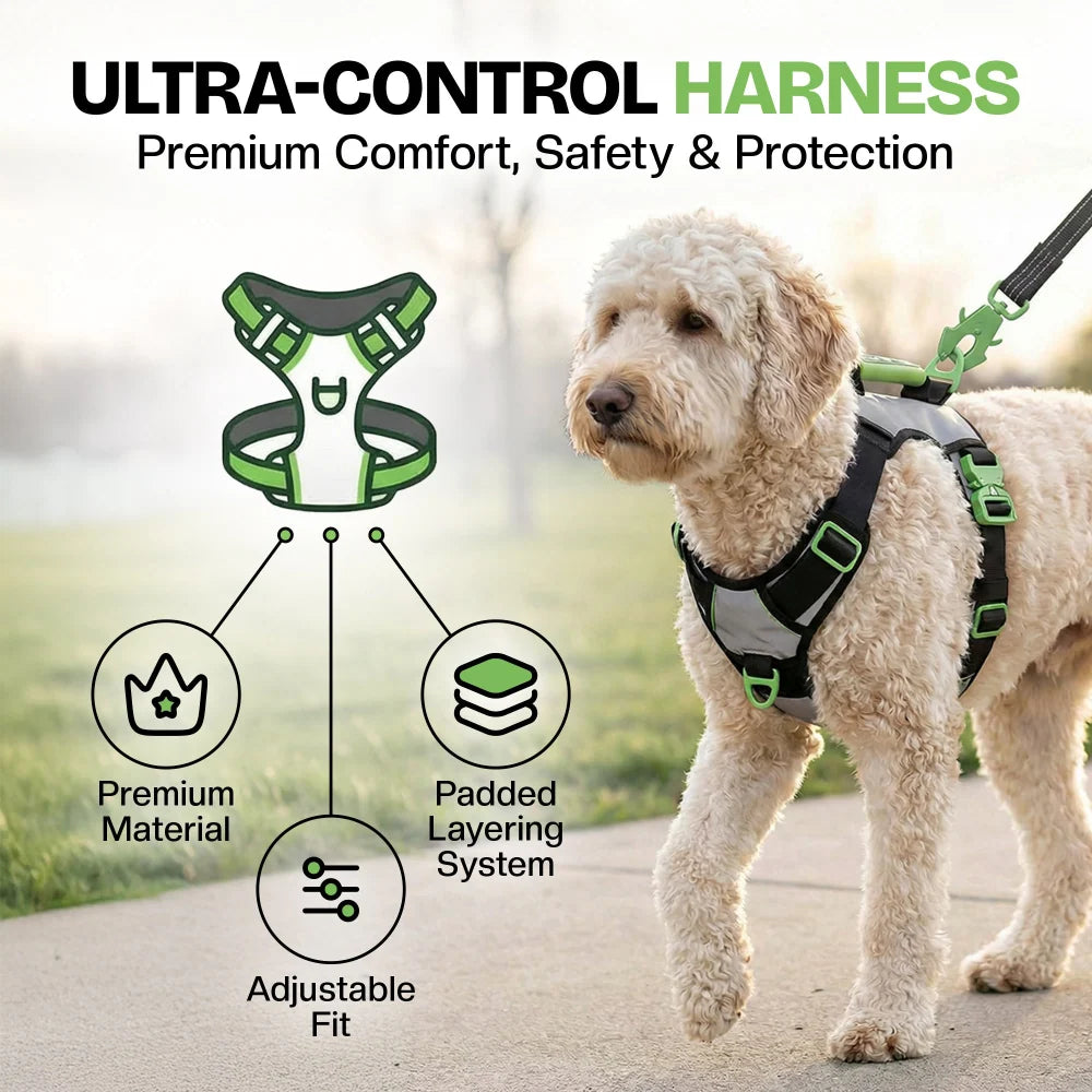 Dog Harness with No-Pull Control, Reflective Visibility, Adjustable Sizes and Multi-Point Leash Attachments for Active Wal