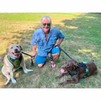 Dog Harness with No-Pull Control, Reflective Visibility, Adjustable Sizes and Multi-Point Leash Attachments for Active Wal