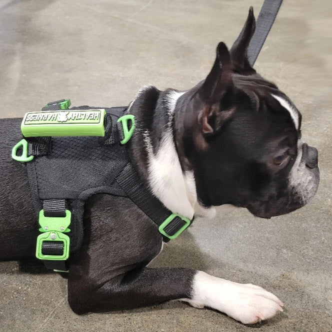 Dog Harness with No-Pull Control, Reflective Visibility, Adjustable Sizes and Multi-Point Leash Attachments for Active Wal