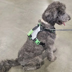 Dog Harness with No-Pull Control, Reflective Visibility, Adjustable Sizes and Multi-Point Leash Attachments for Active Wal