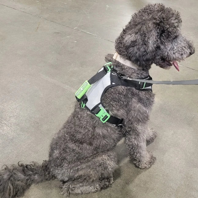 Dog Harness with No-Pull Control, Reflective Visibility, Adjustable Sizes and Multi-Point Leash Attachments for Active Wal