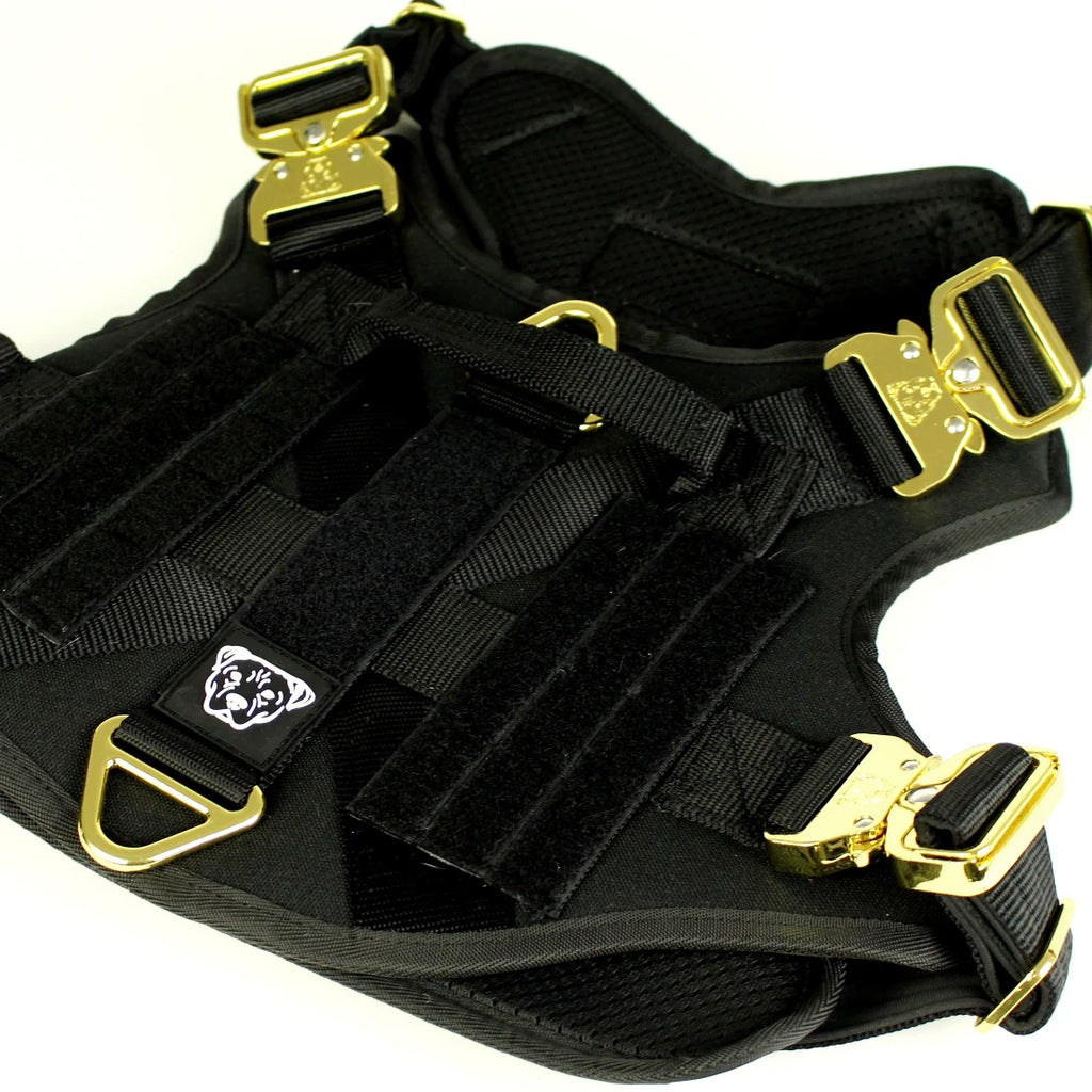 Dog Harness with Padded Nylon Webbing, Four-Point Buckles and Adjustable Front and Back Attachments for Daily Walks