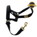 Dog Head Halter for Guided Leash Training and Walks, Including a Safety Clip That Attaches to a Collar