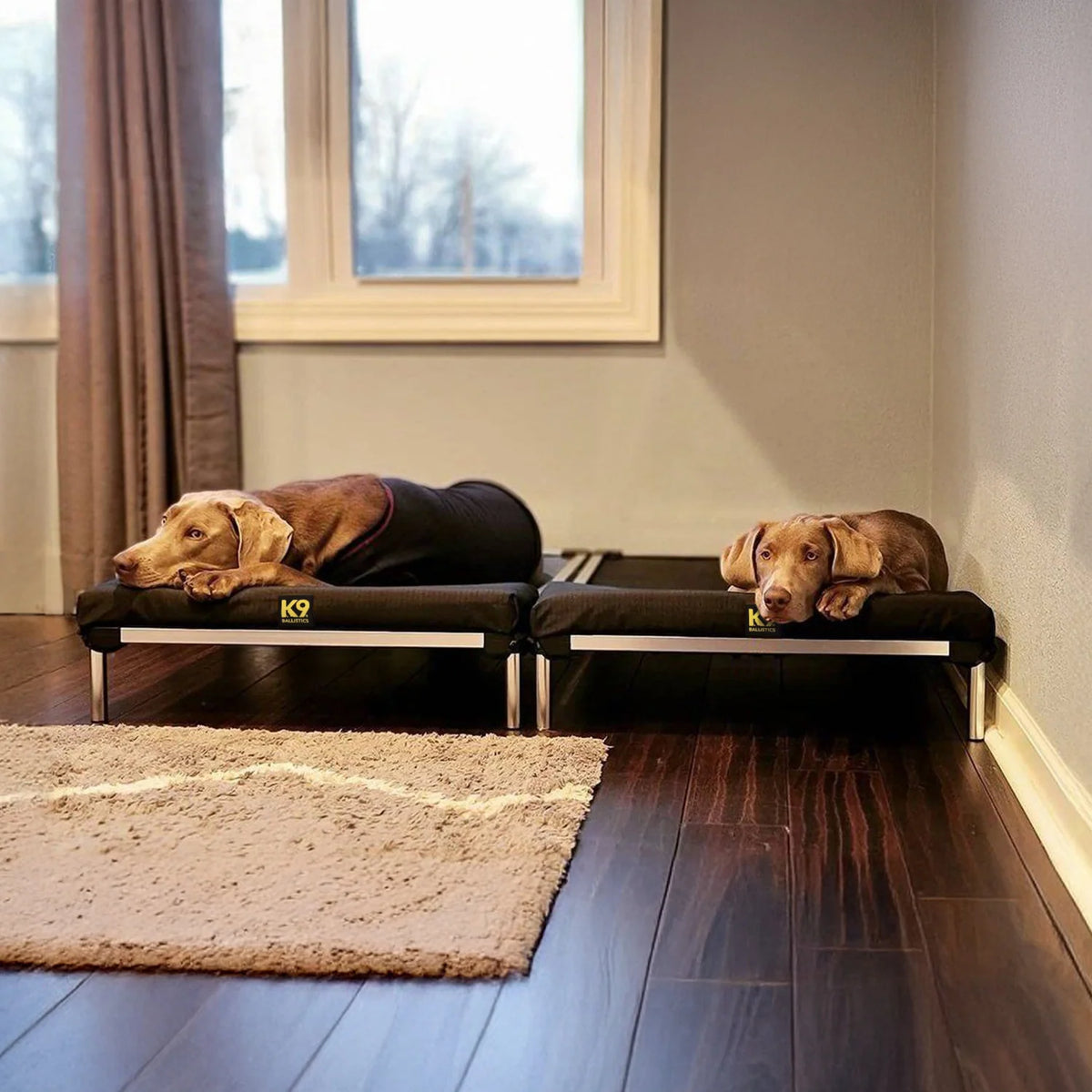 Dog Headrest Pillow