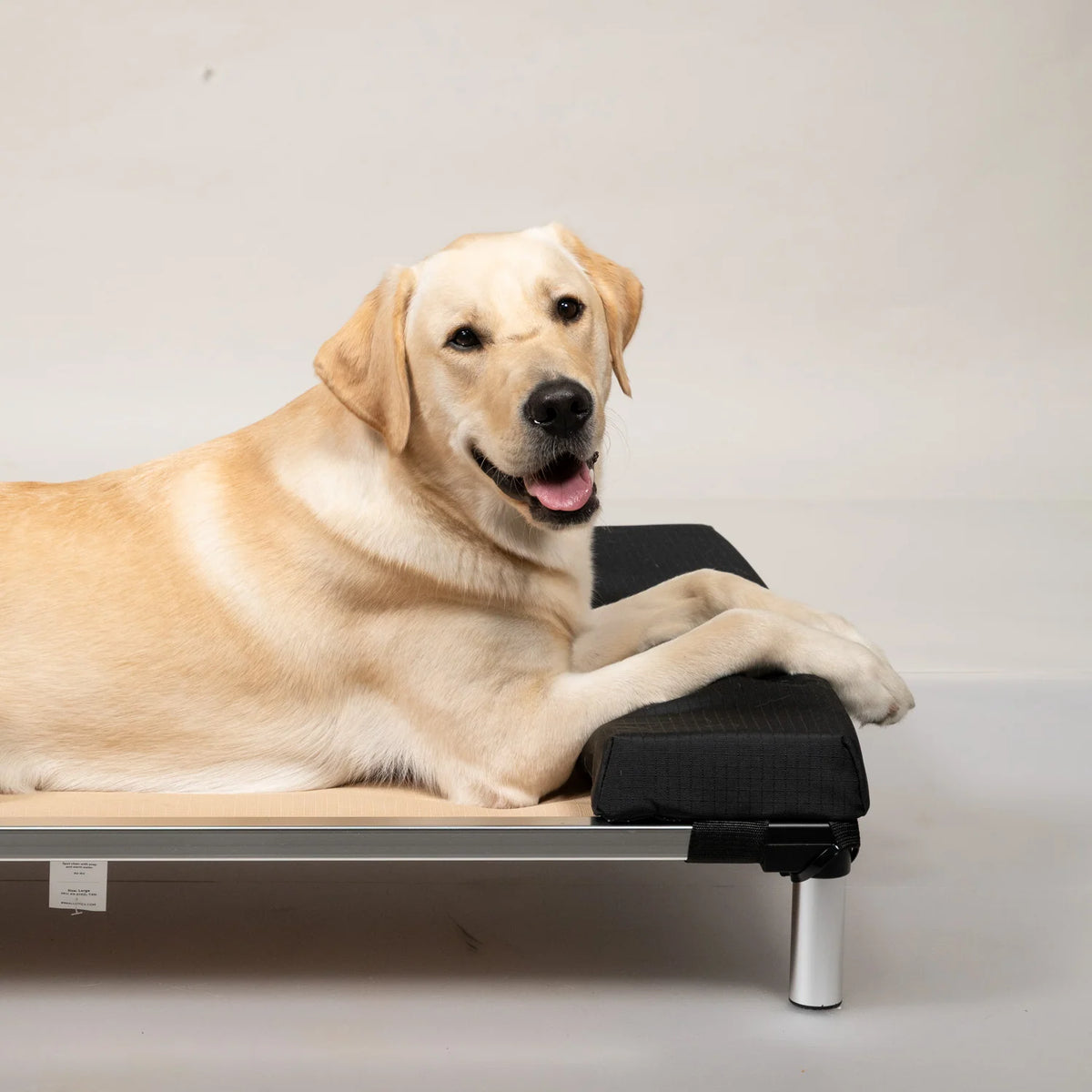 Dog Headrest Pillow