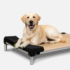 Dog Headrest Pillow