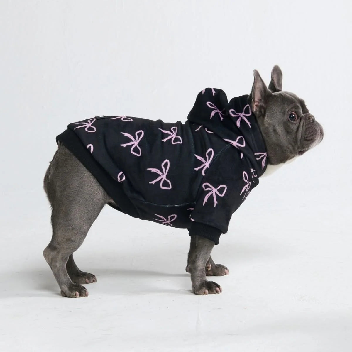Dog Hoodie