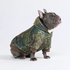 Dog Hoodie in Moss