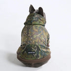 Dog Hoodie in Moss